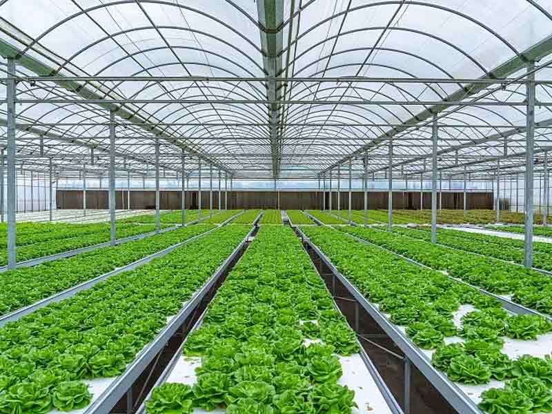 corrugated plastic roof sheets